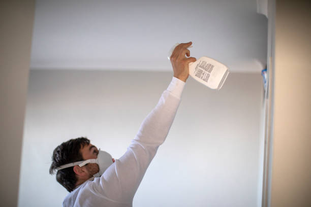 Office Mold Removal Services in Derby, KS