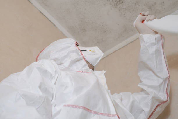 Best Mold Testing  in Derby, KS